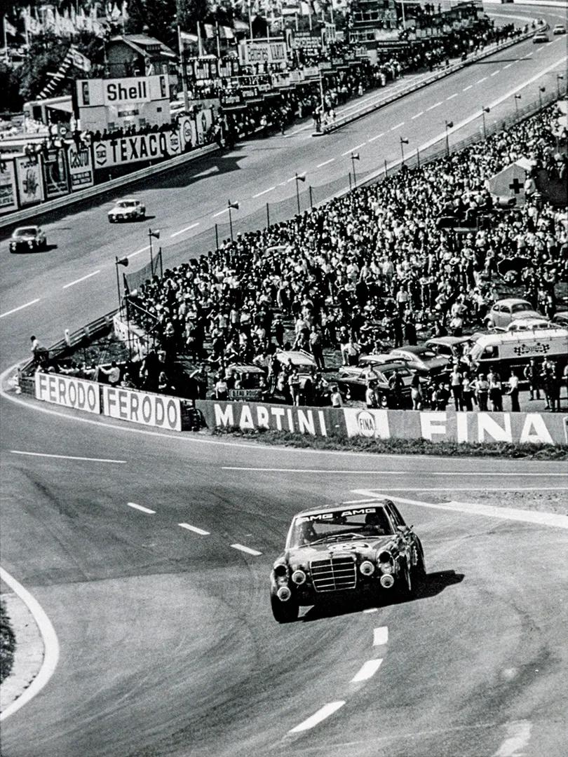 Schwarz-weiß Aufnahme der roten Sau